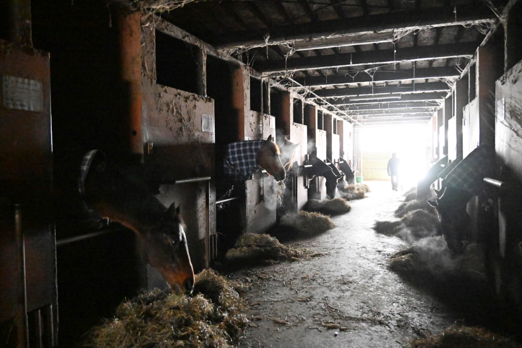 8313851c54dd1fc94d74ddd4bb5c4e23-1771508793.png 8313851c54dd1fc94d74ddd4bb5c4e23-1771508793.png